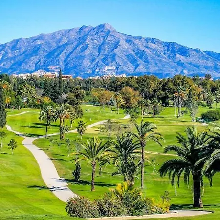 Noctua Paraiso 017 埃斯特波纳