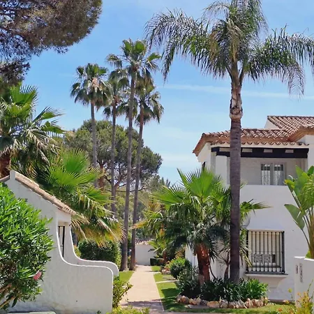 Noctua Paraiso 017 * Estepona