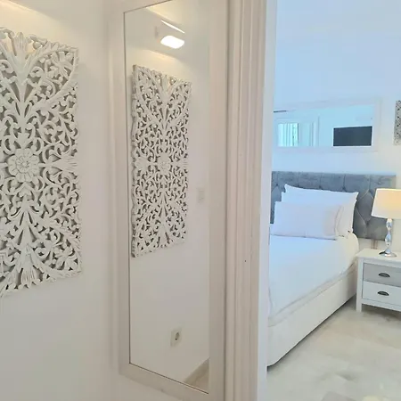 Noctua Paraiso 017 *