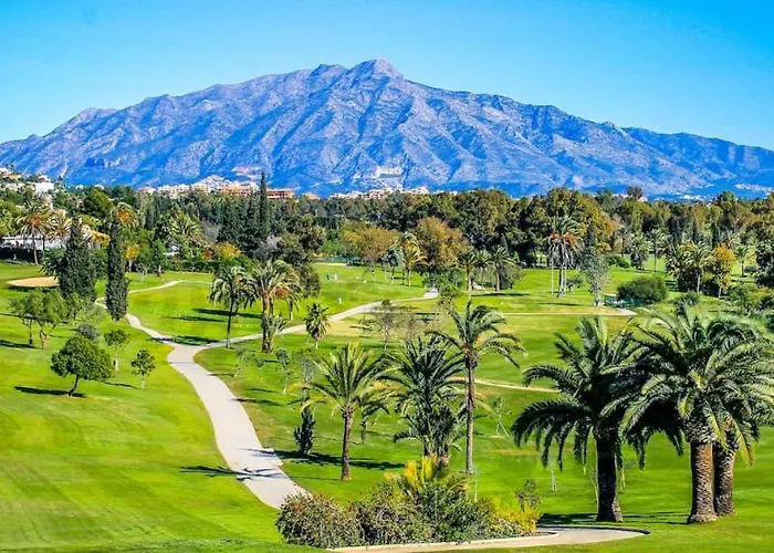 Noctua Paraiso 017 Estepona