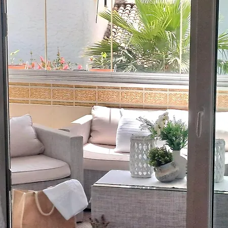 Noctua Paraiso 017 إِستيبونا