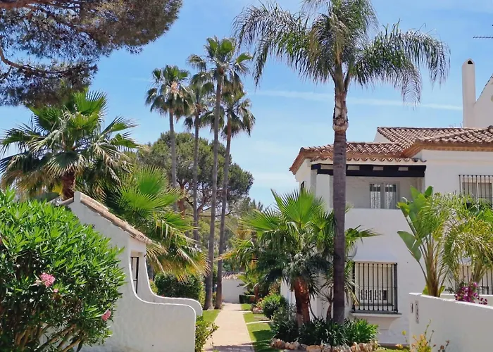 Noctua Paraiso 017 * إِستيبونا